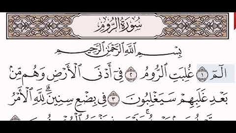 سورة الروم الشيخ على عبد الرحمن الحذيفي من مصحف آيات