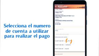 Pago de YPFB por AppSol screenshot 2