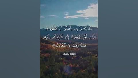 حاله واتس قران مؤثره جداا  || ياسر الدوسري سوره يوسف 🙏