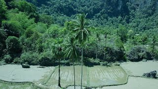 GRATIS VIDEO BACKGROUND PEMANDANGAN ALAM DI DESA//VIEW BY DRONE 4K