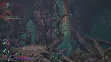 Avowed - The Animancy Method: Retrieve The Andragan Heart | Ring of Minor Deflection Location |