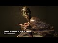 Could You Just Dance #melodictechno #progressivetechno #clubmusic