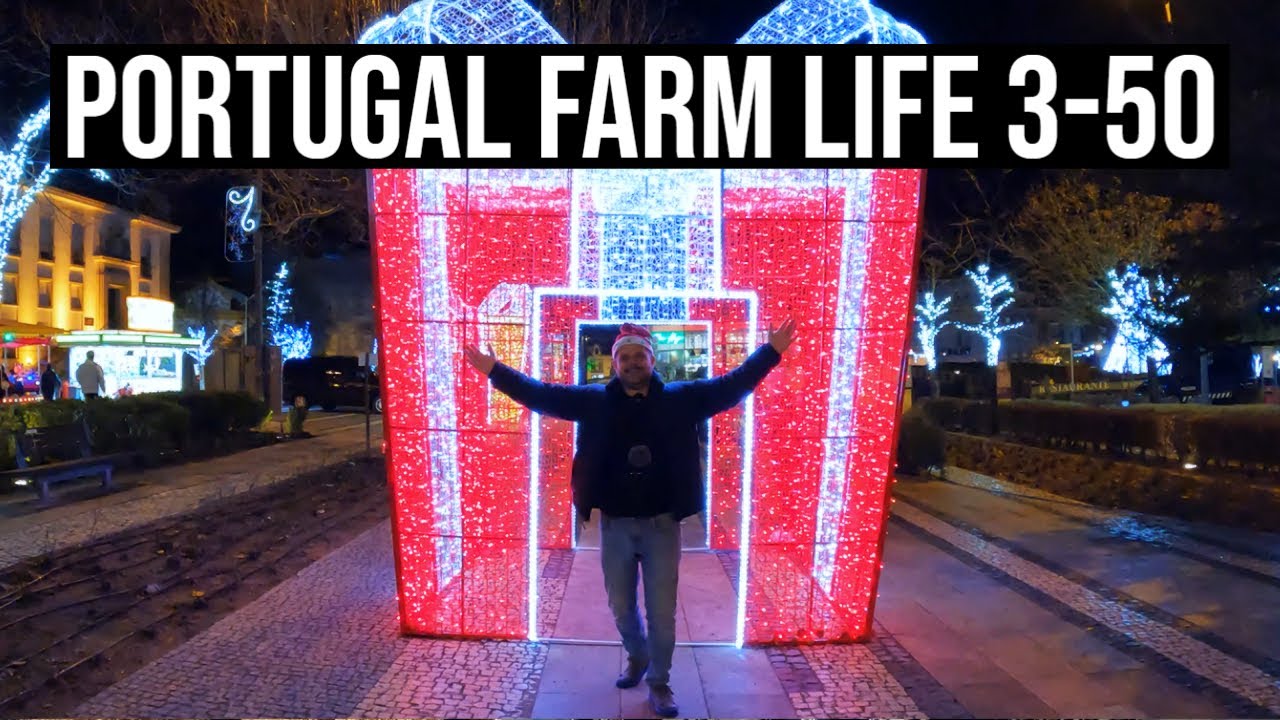 Portugal Christmas 🎄🎅 Feliz Natal ❤ | PORTUGAL FARM LIFE S3-E50