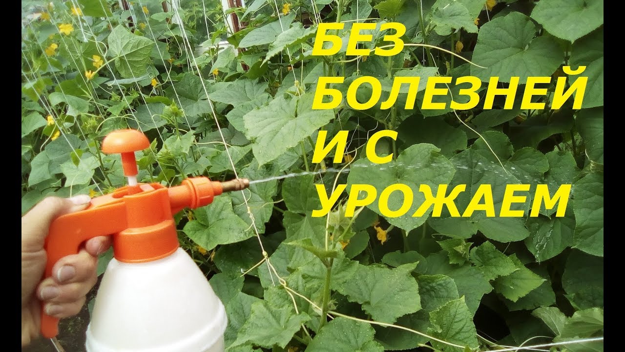 Машина для опрыскивания полей