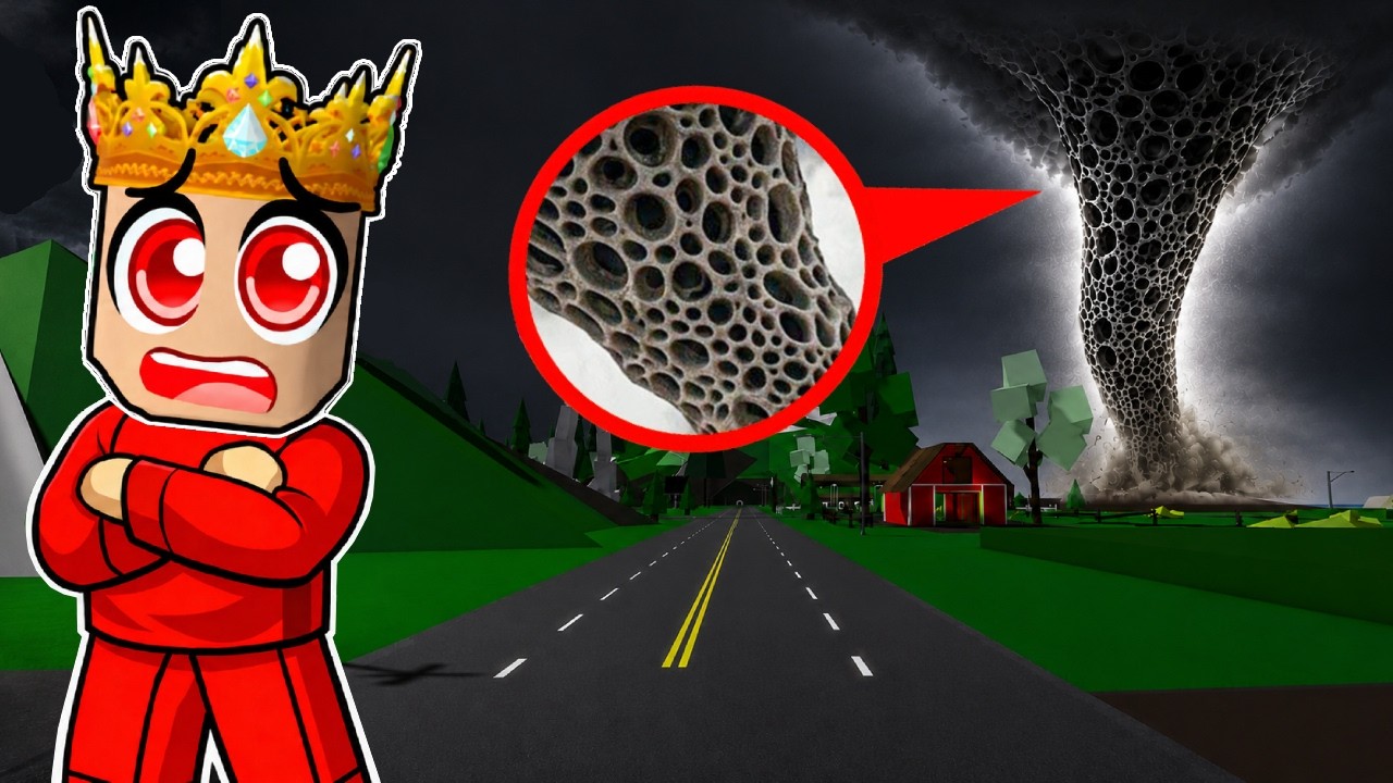 Natočil Jsem TORNÁDO TRYPOFOBIA v Brookhaven!