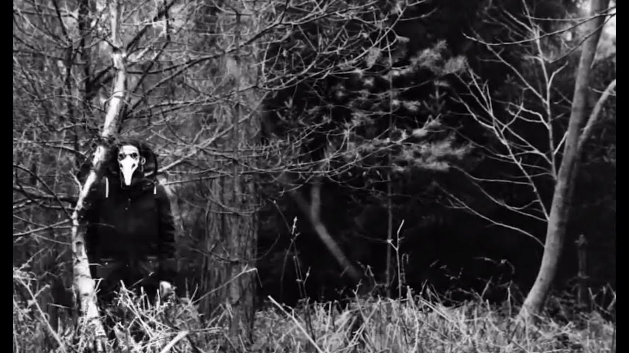 Fossil Collective - Float (Official Video) HD