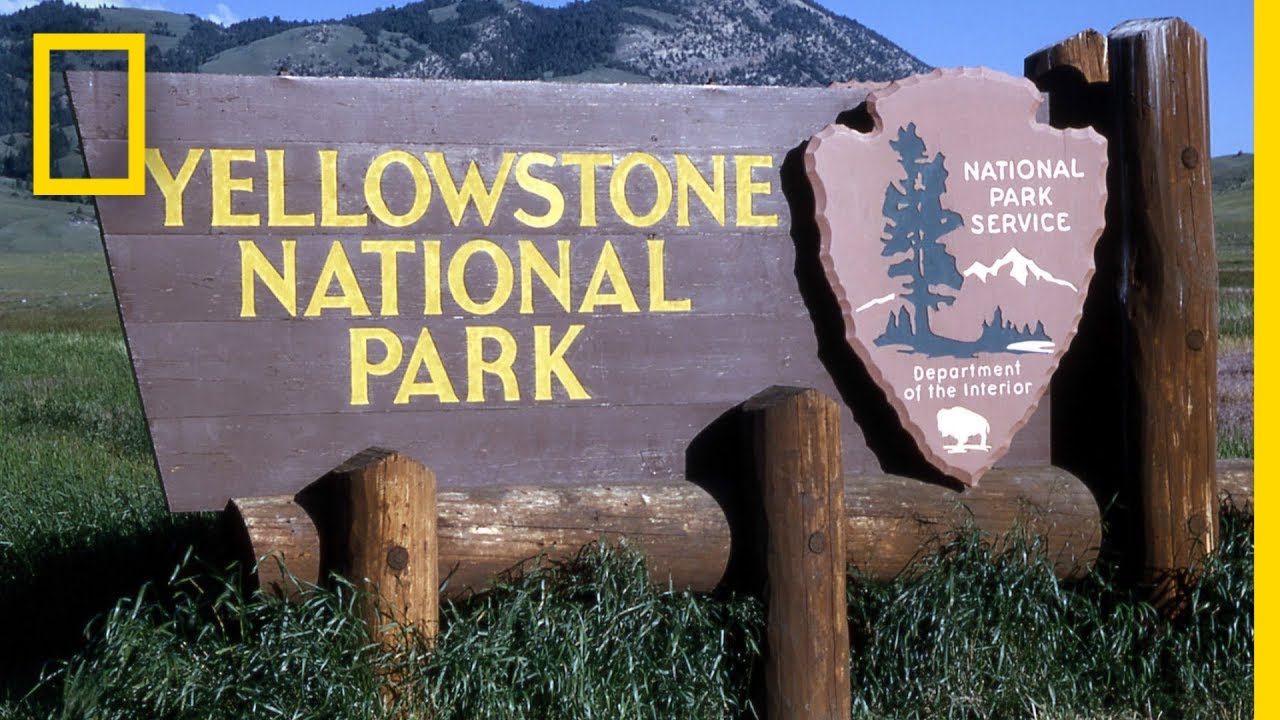 A Brief History of Yellowstone National Park  National Geographic