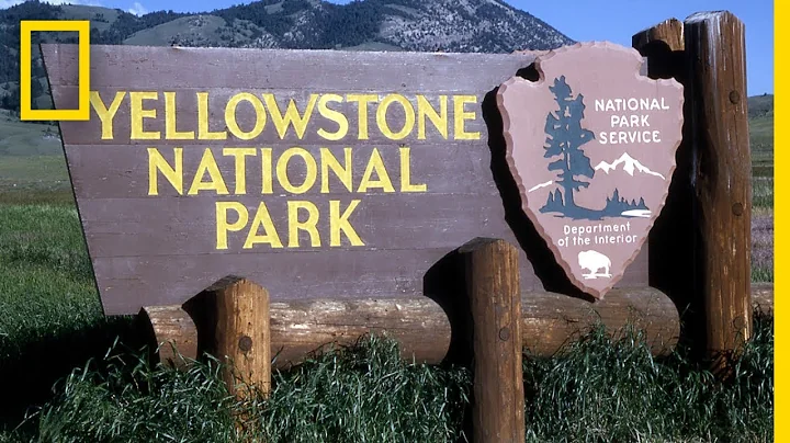 A Brief History of Yellowstone National Park | National Geographic - DayDayNews