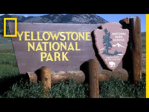 تصویری: کلمه Yellowstone به چه معناست؟
