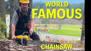 They Sold a Million of these Chainsaws. I got a special one ☝️