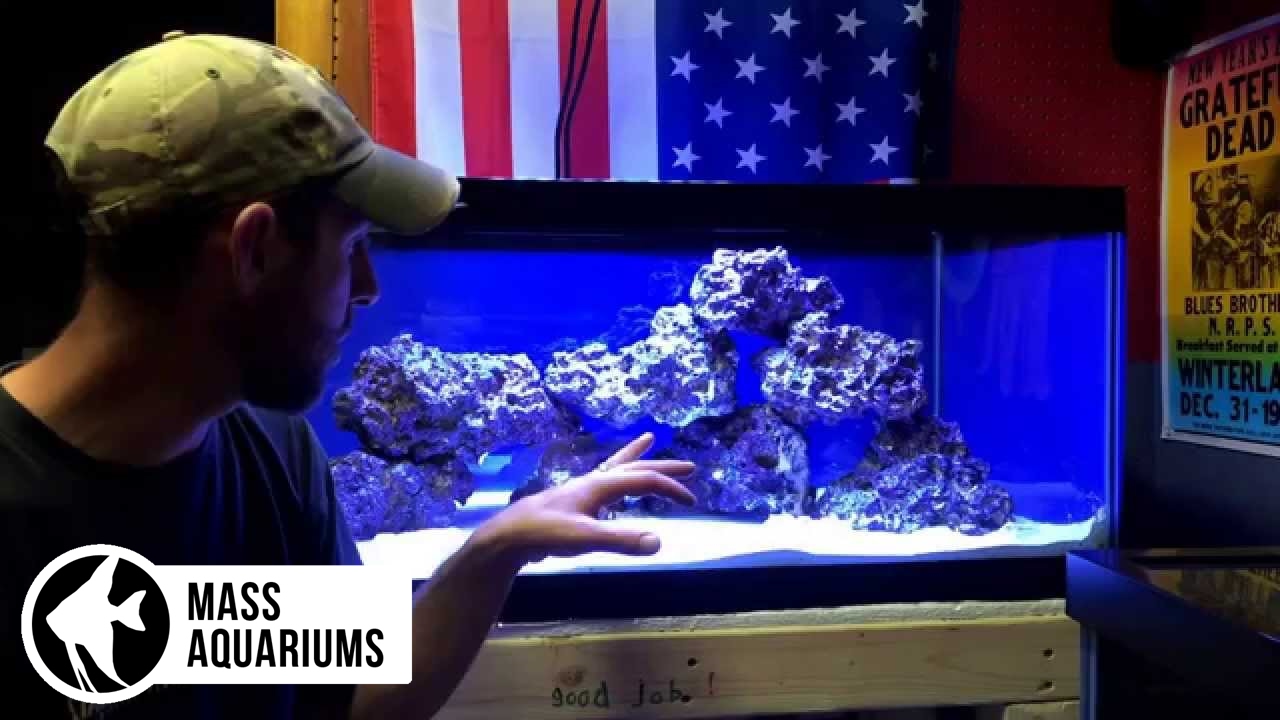 How To Set Up A Saltwater Reef Tank Episode 2 Background And Hardscape Youtube,Pork Loin Recipes Instant Pot