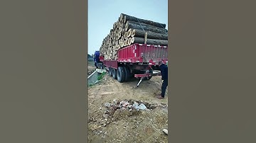 Lateral adjustment process of a heavy-duty transport truck loaded with timber