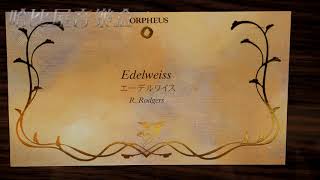 Sankyo Orpheus 30音義大利雕花音樂盒_Edelweiss