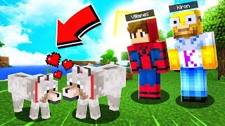 MI PERRO ENCUENTRA EL AMOR DE SU VIDA EN MINECRAFT!