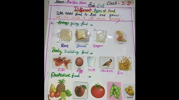 Science project of different types of food items #shorts #project