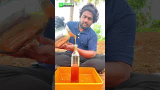 Manikanda - Tirupur - Burrow Honey