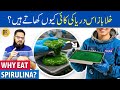 Spirulina Ke Fayde: NASA se Sehat Tak! | Spirulina Algae Benefits | Urdu/Hindi | Dr. Ibrahim Mp3 Song