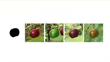 KDD 2023 - ESSA: Explanation Iterative Supervision via Saliency-guided Data Augmentation