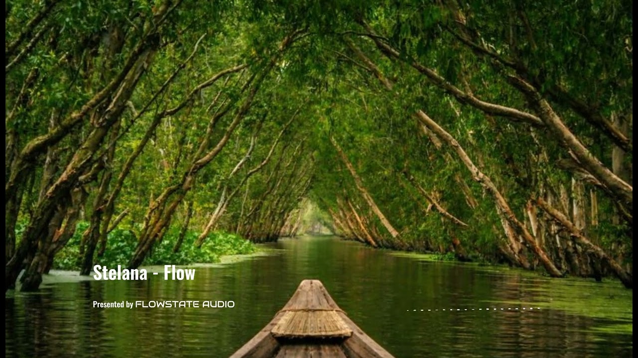 Stelana - Flow | Productivity & Background Music for Study FLOW MUSIC