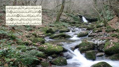 308-page سعد الغامدي - -سورة مريم Marie (Maryam)-19