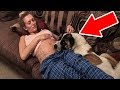 Dog Who Keeps Barking At Pregnant Owner’s Belly Helps Uncover A Deadly Danger Dog Who Keeps Barking At Pregnant Owner’s Belly Helps Uncover A Deadly Danger