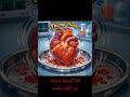 قلبك بيكمل دق حتي لو طلع برا جسمك غرائب