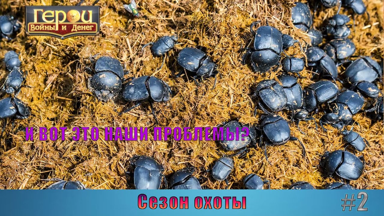 Первые трудности! | Сезон охоты #2 | Герои войны и денег | ГВД - YouTube