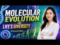 Molecular Evolution and Life's Diversity (4 Minutes)