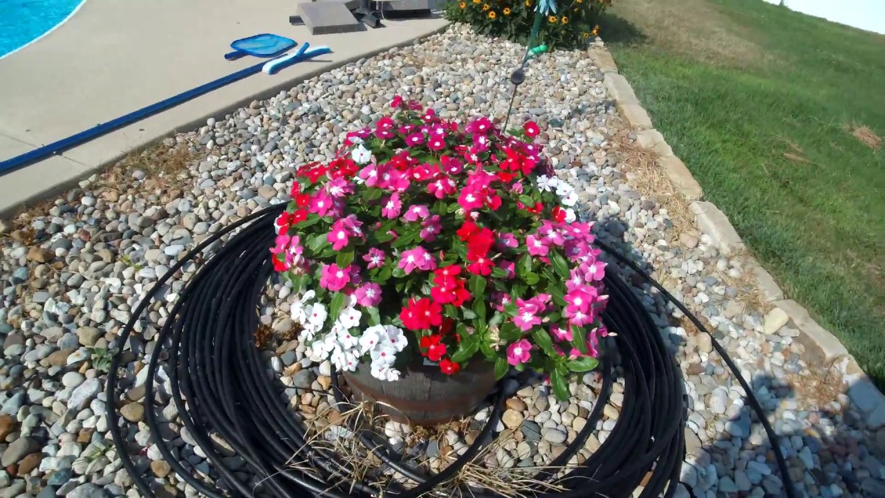 Hawkeye Firefly 8s 4k sample footage with external mic