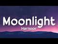 Moonlight lyrics  harnoor  ilam  mxrci  new punjabi song  live for songs