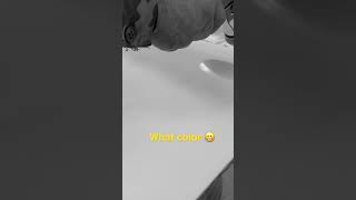 What Color Is My Unimog 404