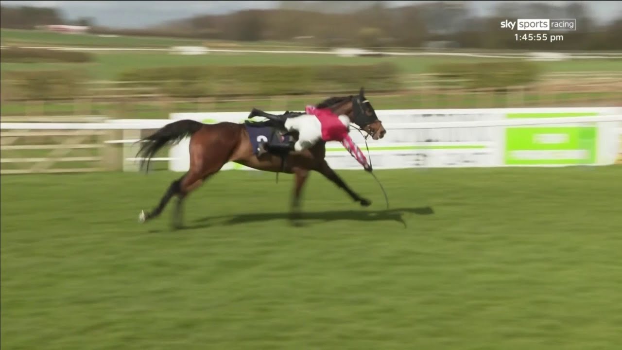 DRAMA! 2/9 favourite unseats jockey at the last 😮