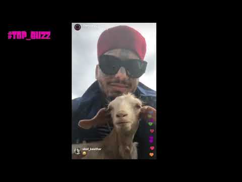 SWAGG MAN تونس هبلتو و دخلتو في حيط ولا يلوج على حصان و يحكي مع معزة