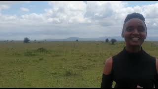 konza city plots for sale