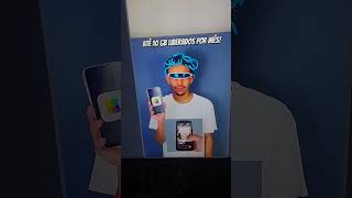 Abelhinha Listradinha