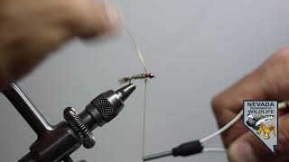 Introduction to Fly Tying Lesson 4:  Building the Bead Head Hare's Ear Nymph