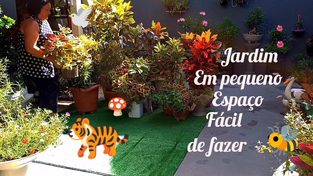 transformei um pequeno espaço num jardim colorido plantas de baixa manutenção dicas e cuidados!!