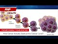 How Cancer Actually Starts at the Cellular Level?