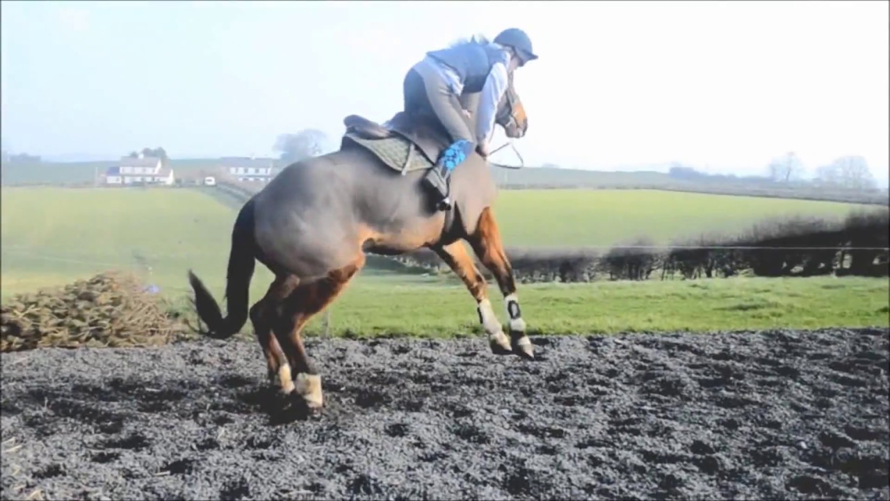 Horse riding falls and fails YouTube