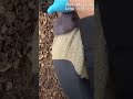 Drunk Suspect Stops Breathing After Cops Take Him Down