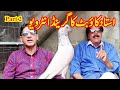 The great interview of ustad shujah cow buttbest tips for birds 03004515078part 2