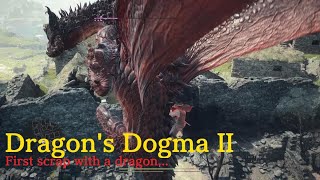 Dragons Dogma 2 - First scrap with a dragon