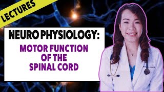 Lecture - Neuro Physiology: (Motor Function of the Spinal Cord)