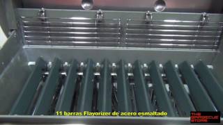 Barbacoa de gas Weber Genesis II E-610