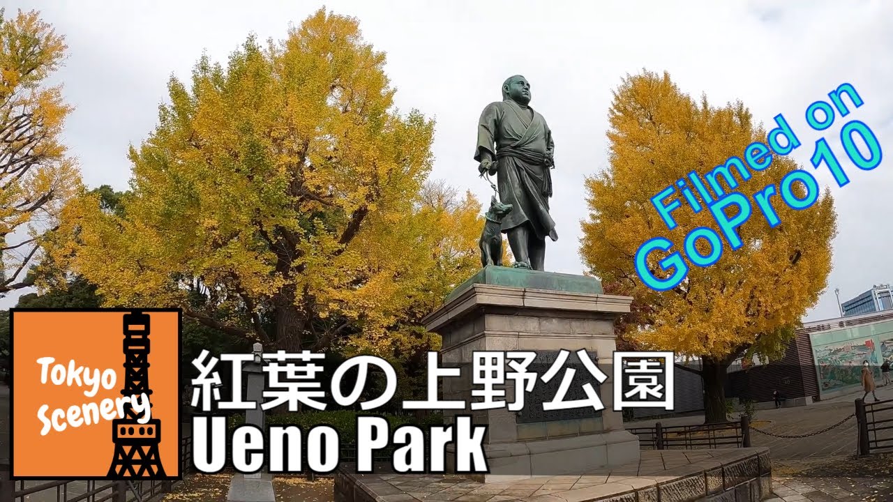Tokyo Walk Ueno Park Gopro Hero 10 4k 上野恩賜公園 上野東照宮 紅葉 イチョウ並木 西郷隆盛像 Youtube