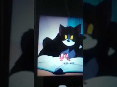 ٨ ديسمبر ٢٠٢٤