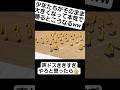 【体育祭ダンス】体育祭でバナナの格好をして踊る高校生たちがおもしろすぎるww#shorts#tiktok#おすすめ#運動会#体育祭#体育祭ダンス