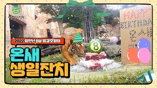 산중호걸이라 하는 호랑님(온새)의 생일 잔치_서울어린이대공원 동물원썸네일