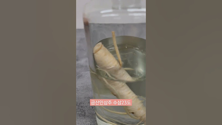 술에 들어있는 인삼이 이렇게나 실하다니!! (ft. 금산인삼주)