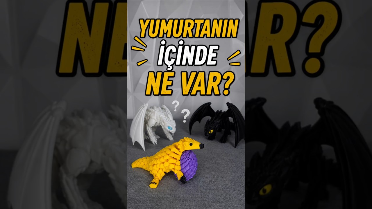 Yumurtayı Kaçıran Armadillo 😄🥚